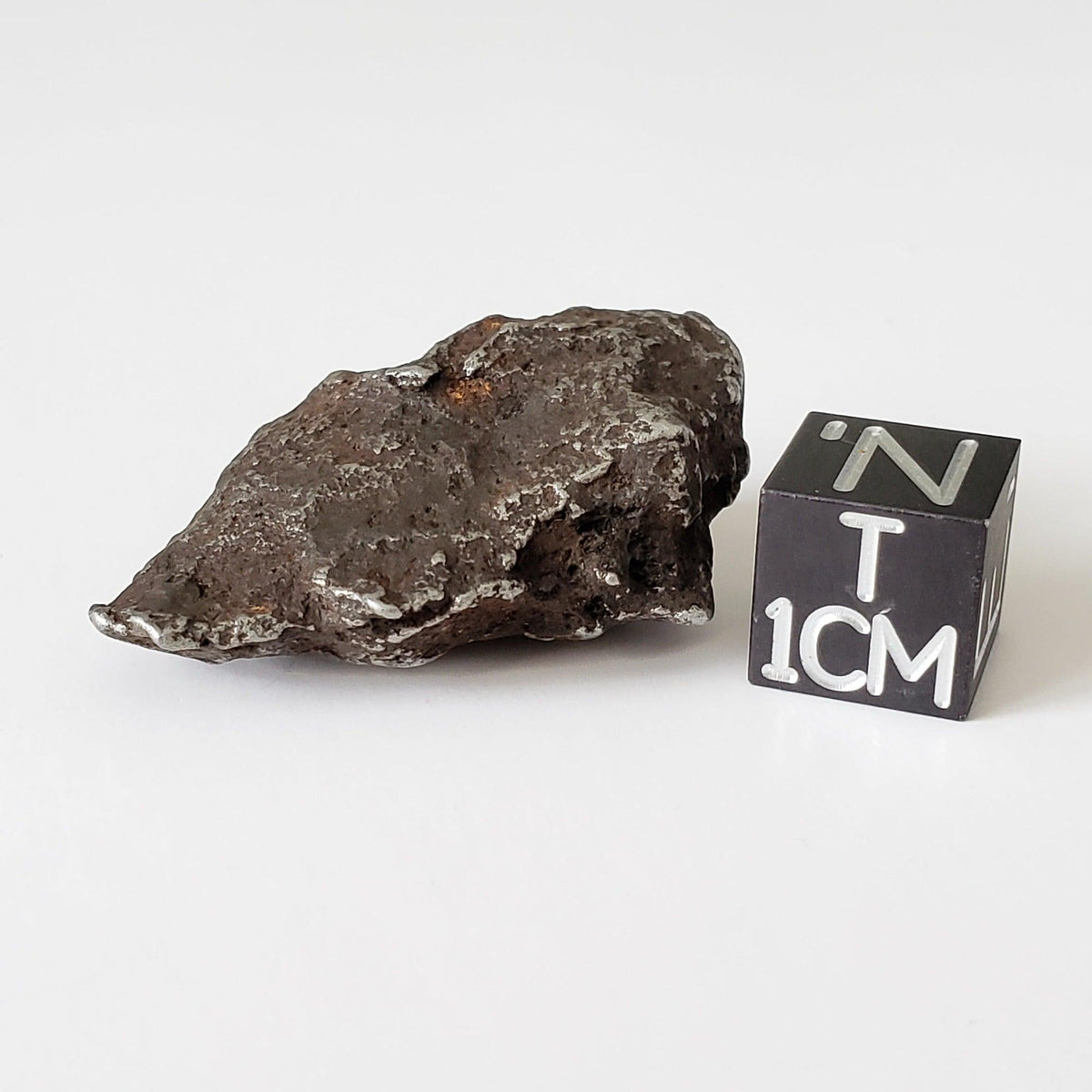  Sikhote-Alin Meteorite | 26.2 Grams | Individual | Iron IIAB | Shrapnel 