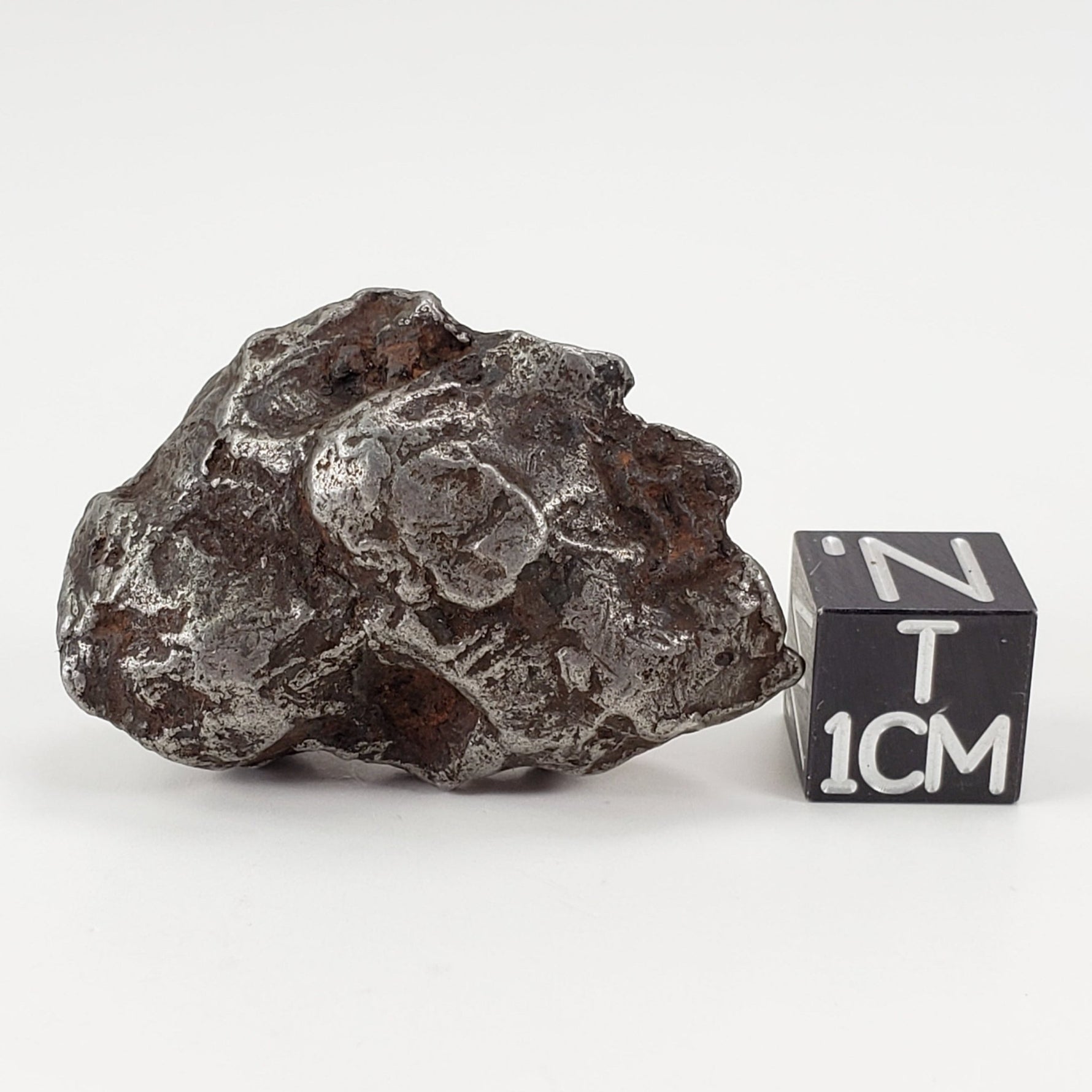  Sikhote-Alin Meteorite | 29.5 Grams | Individual | Iron IIAB | Shrapnel | SO24 