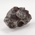  Sikhote-Alin Meteorite | 29.5 Grams | Individual | Iron IIAB | Shrapnel | SO24 4