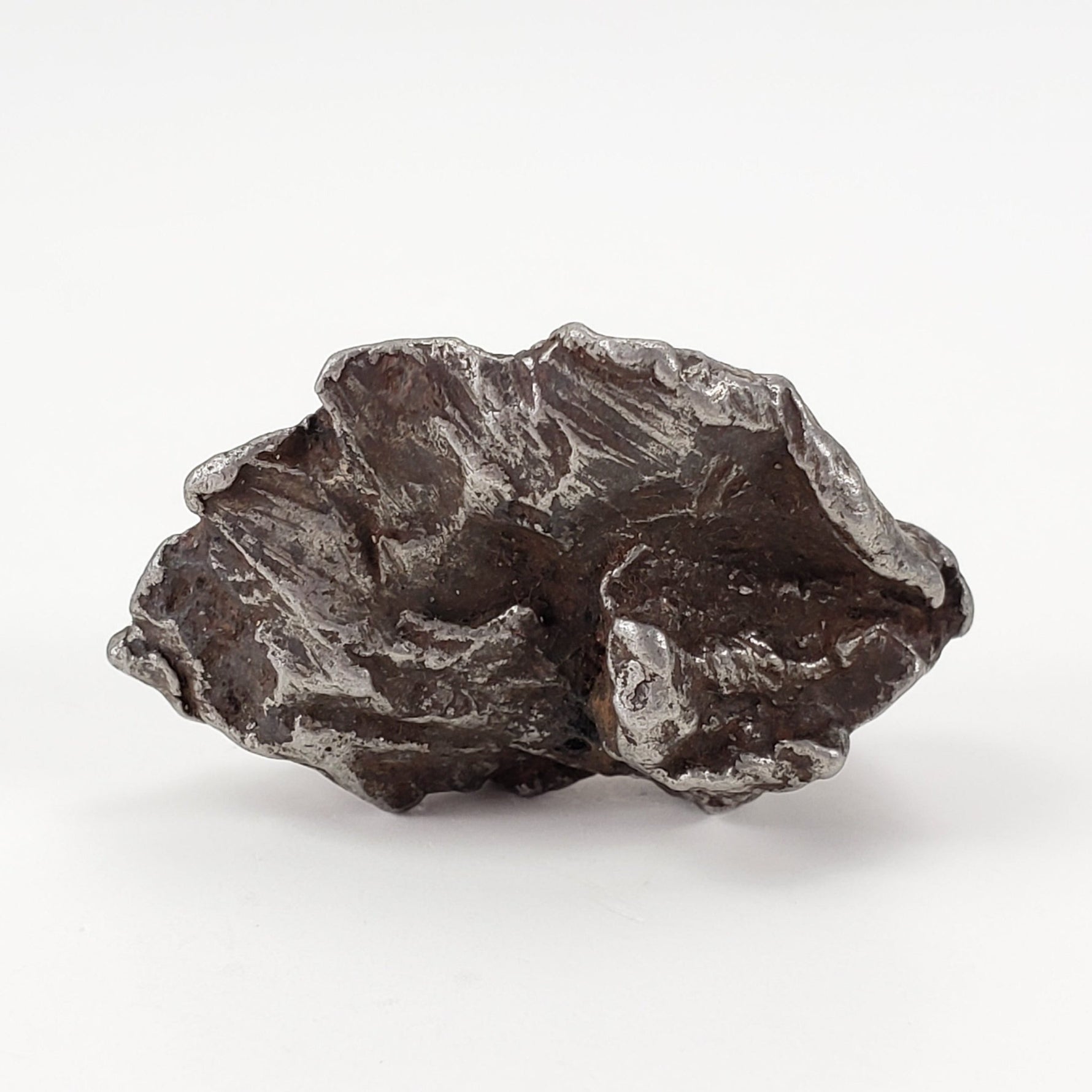  Sikhote-Alin Meteorite | 29.5 Grams | Individual | Iron IIAB | Shrapnel | SO24 7