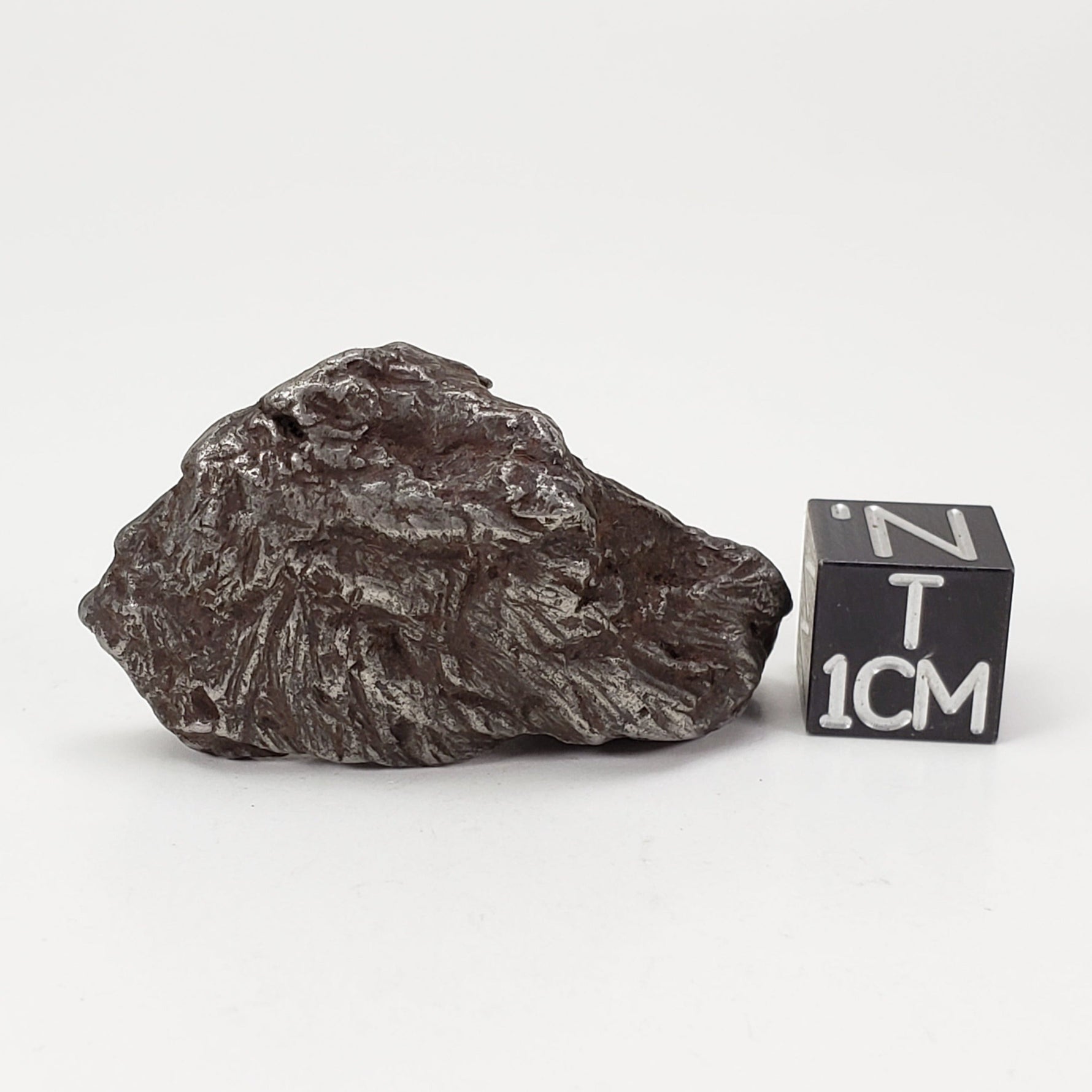  Sikhote-Alin Meteorite | 29.8 Grams | Individual | Iron IIAB | Shrapnel | SO24 