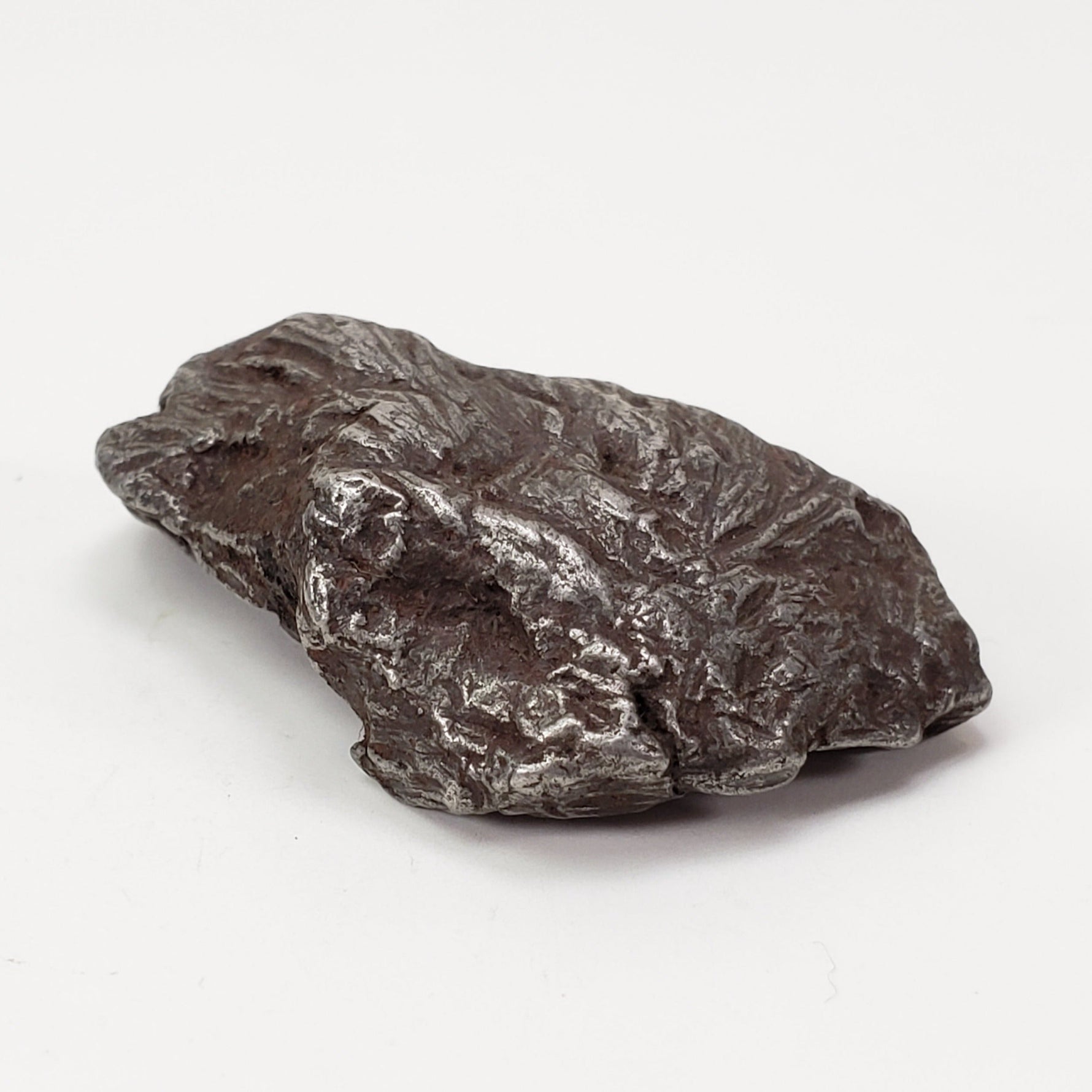  Sikhote-Alin Meteorite | 29.8 Grams | Individual | Iron IIAB | Shrapnel | SO24 6