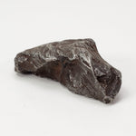  Sikhote-Alin Meteorite | 29.8 Grams | Individual | Iron IIAB | Shrapnel | SO24 7