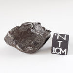  Sikhote-Alin Meteorite | 34.77 Grams | Individual | Iron IIAB | Shrapnel 