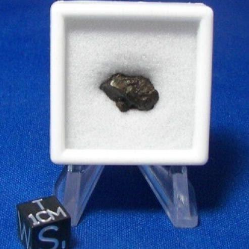 A - Sikhote Alin Iron Meteorite Starter Micro Display 2