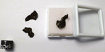 A - Sikhote Alin Iron Meteorite Starter Micro Display 6