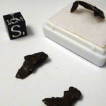 A - Sikhote Alin Iron Meteorite Starter Micro Display 3