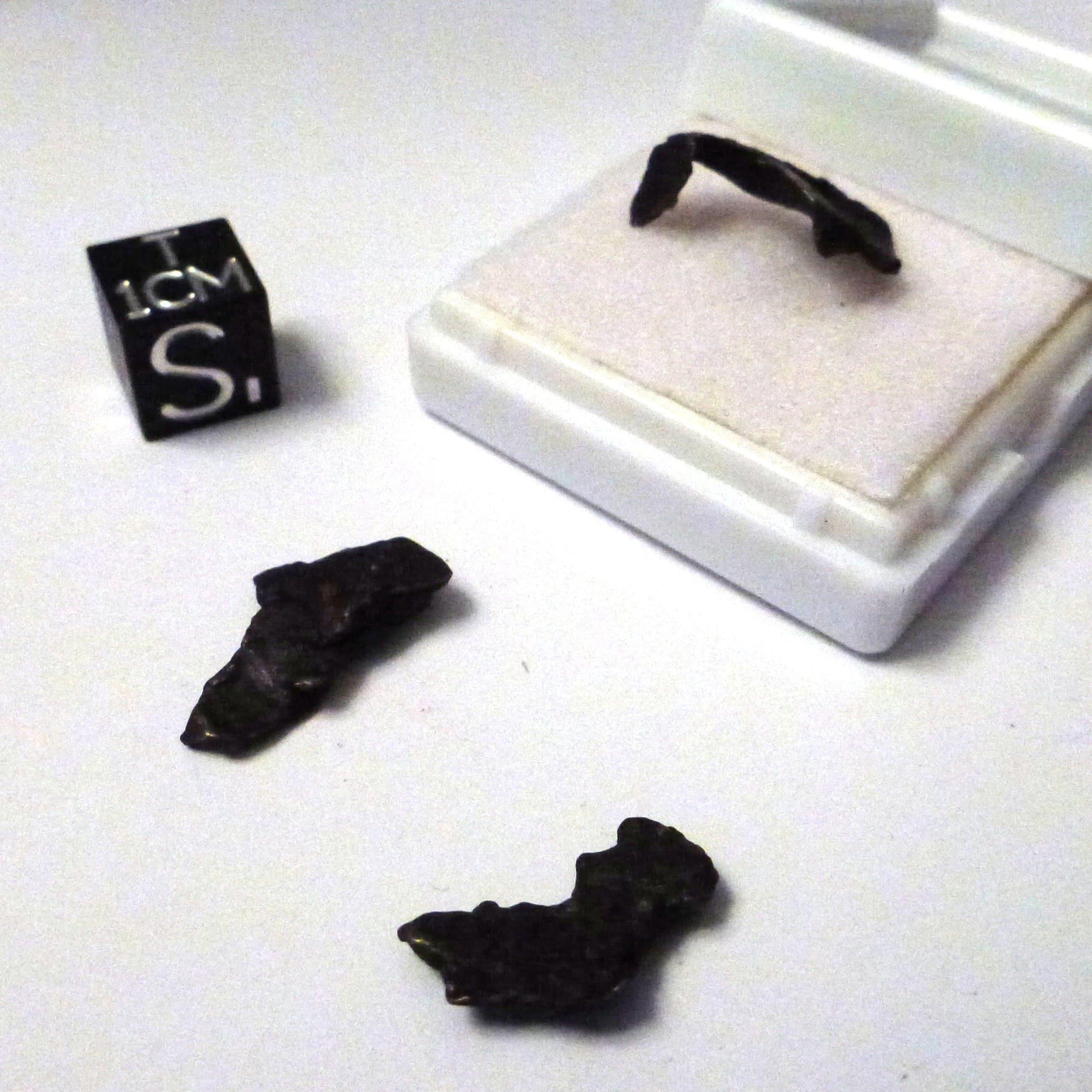 A - Sikhote Alin Iron Meteorite Starter Micro Display 4