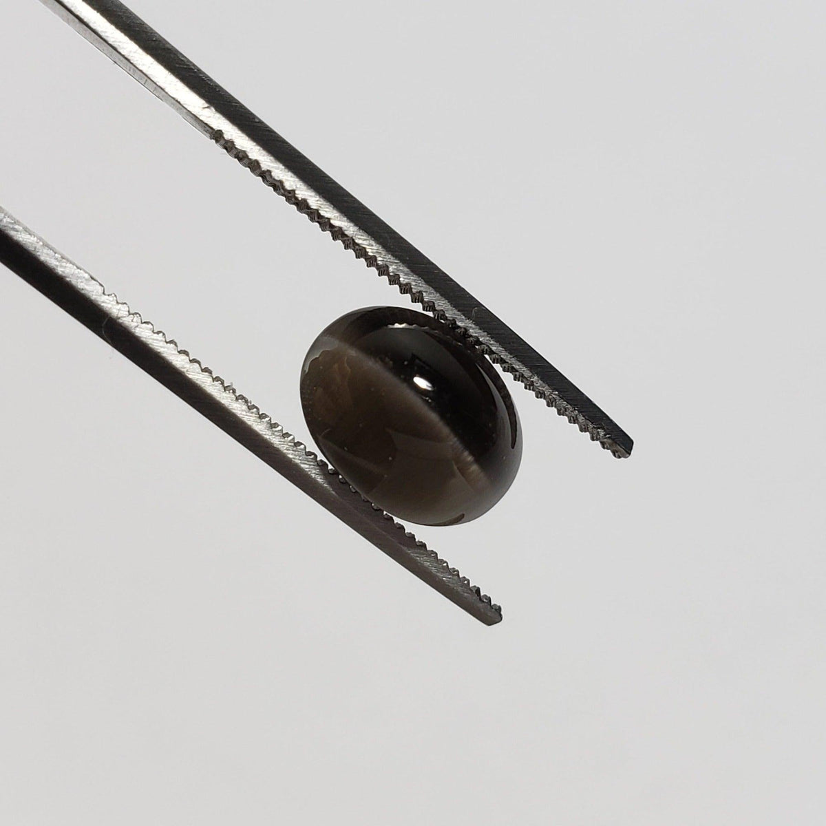  Sillimanite Cats Eye | Oval Cabochon | Black | 9x7mm 2.9ct | SO24 