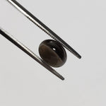  Sillimanite Cats Eye | Oval Cabochon | Black | 9x7mm 2.9ct | SO24 