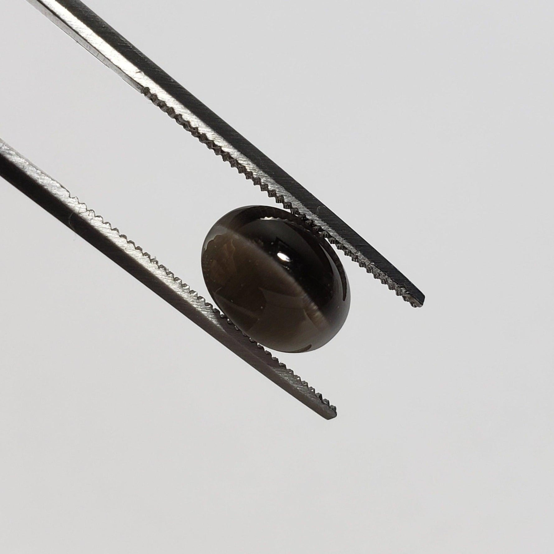  Sillimanite Cats Eye | Oval Cabochon | Black | 9x7mm 2.9ct | SO24 