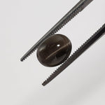  Sillimanite Cats Eye | Oval Cabochon | Black | 9x7mm 2.9ct | SO24 2