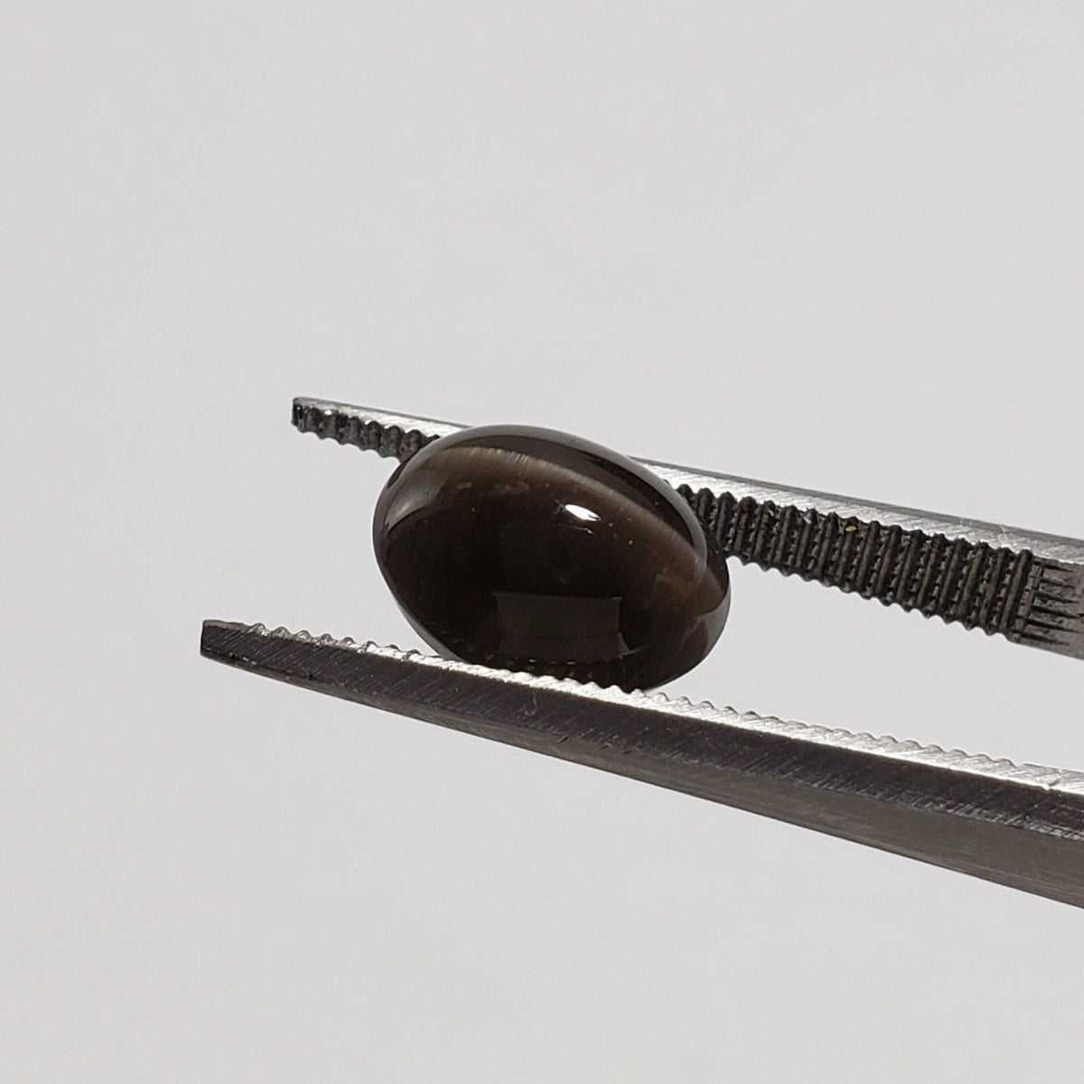  Sillimanite Cats Eye | Oval Cabochon | Black | 9x7mm 2.9ct | SO24 4