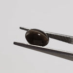  Sillimanite Cats Eye | Oval Cabochon | Black | 9x7mm 2.9ct | SO24 4