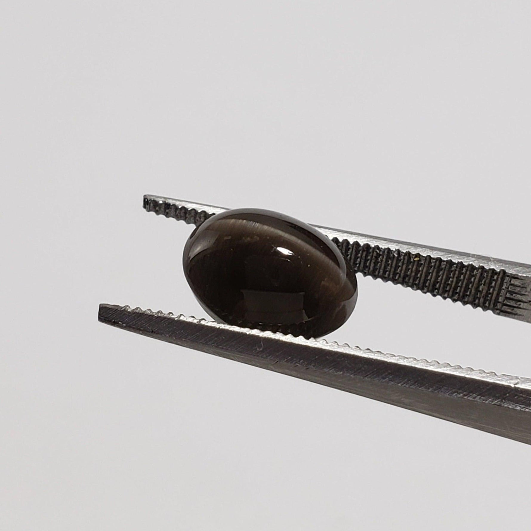  Sillimanite Cats Eye | Oval Cabochon | Black | 9x7mm 2.9ct | SO24 4