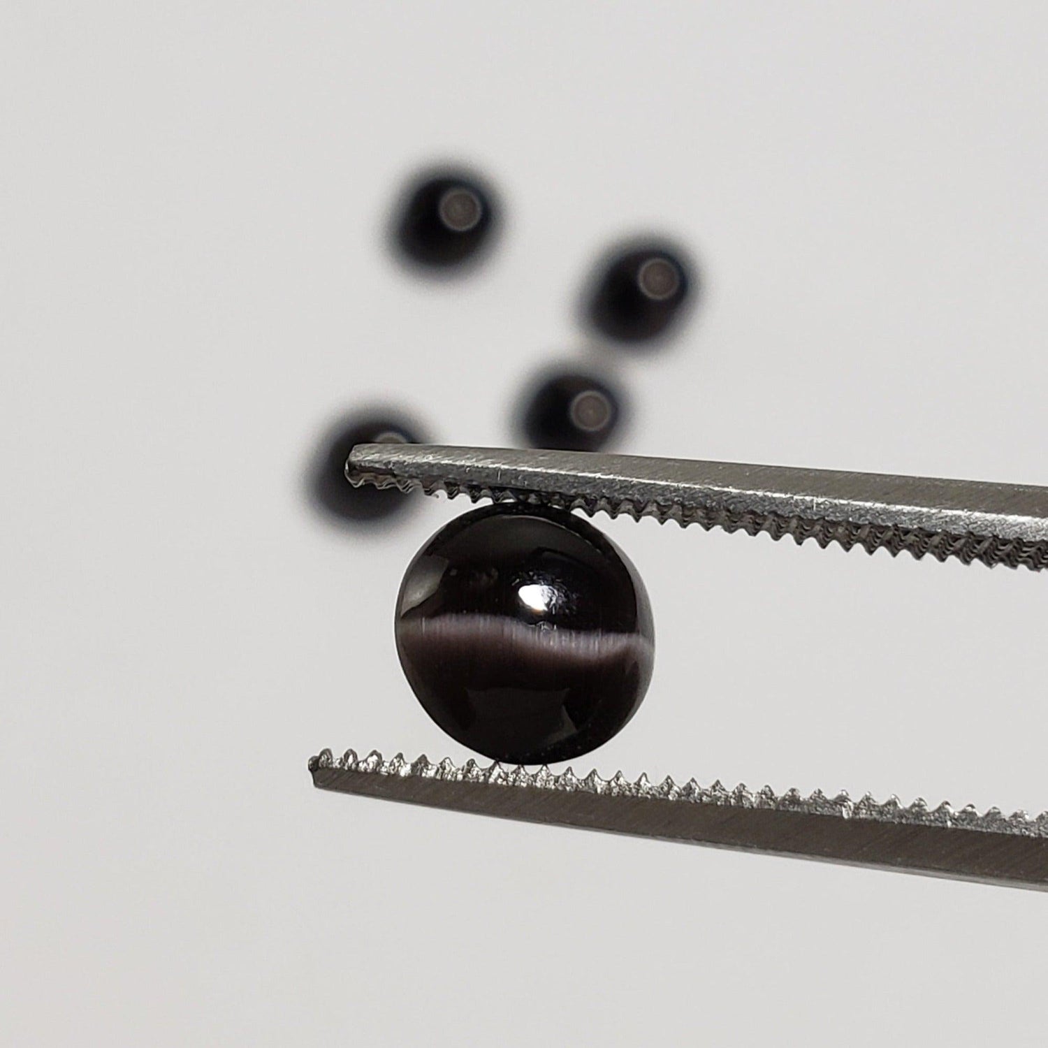  Sillimanite Cats Eye | Round Cabochon | Black | 6mm | SO24 