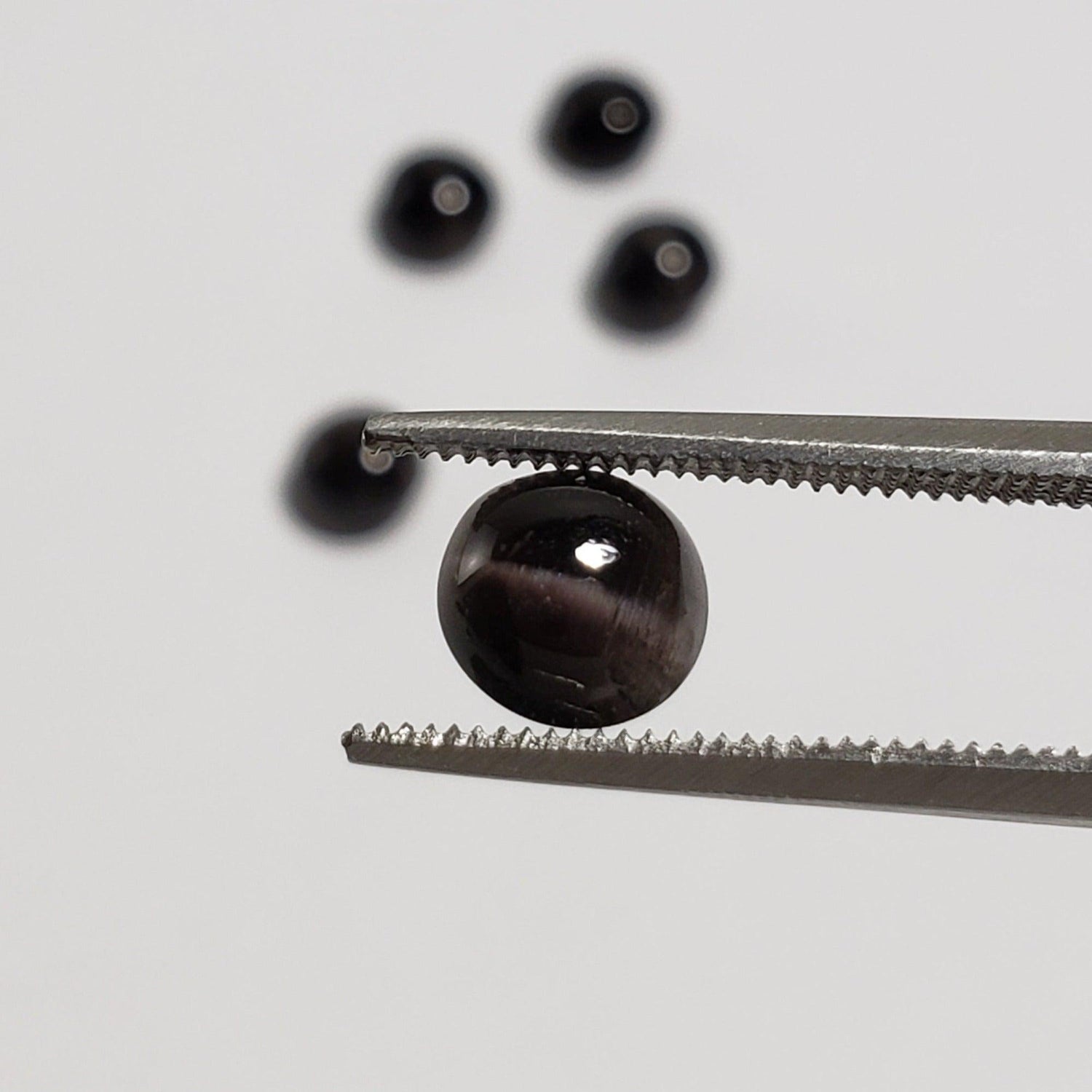  Sillimanite Cats Eye | Round Cabochon | Black | 6mm | SO24 1