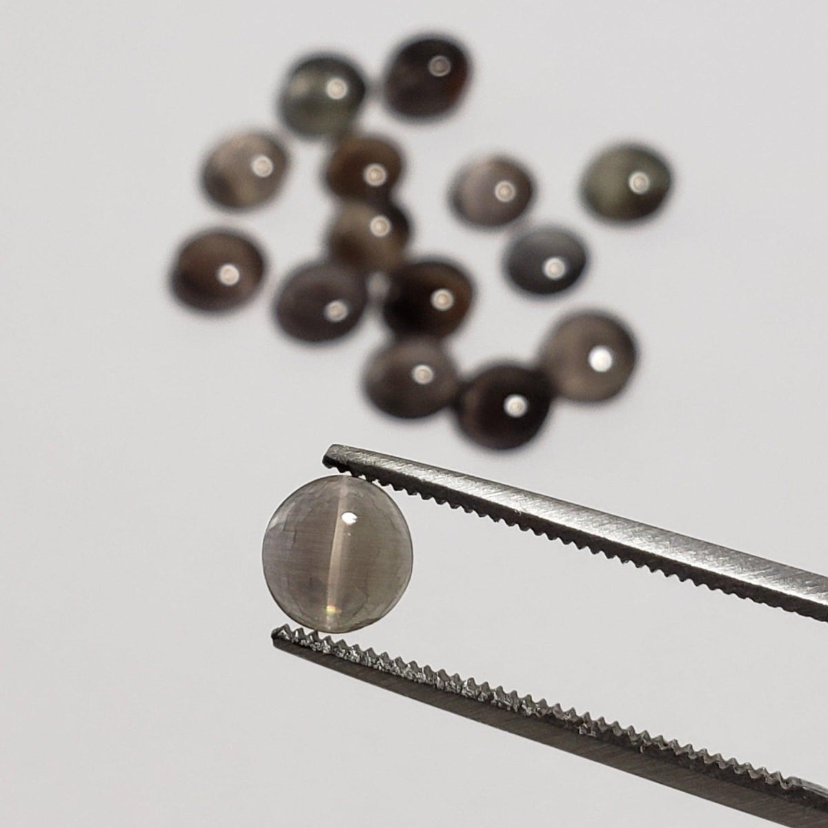 D - Sillimanite Cats Eye | Round Cabochon | Titanium | 6mm - Canagem.com