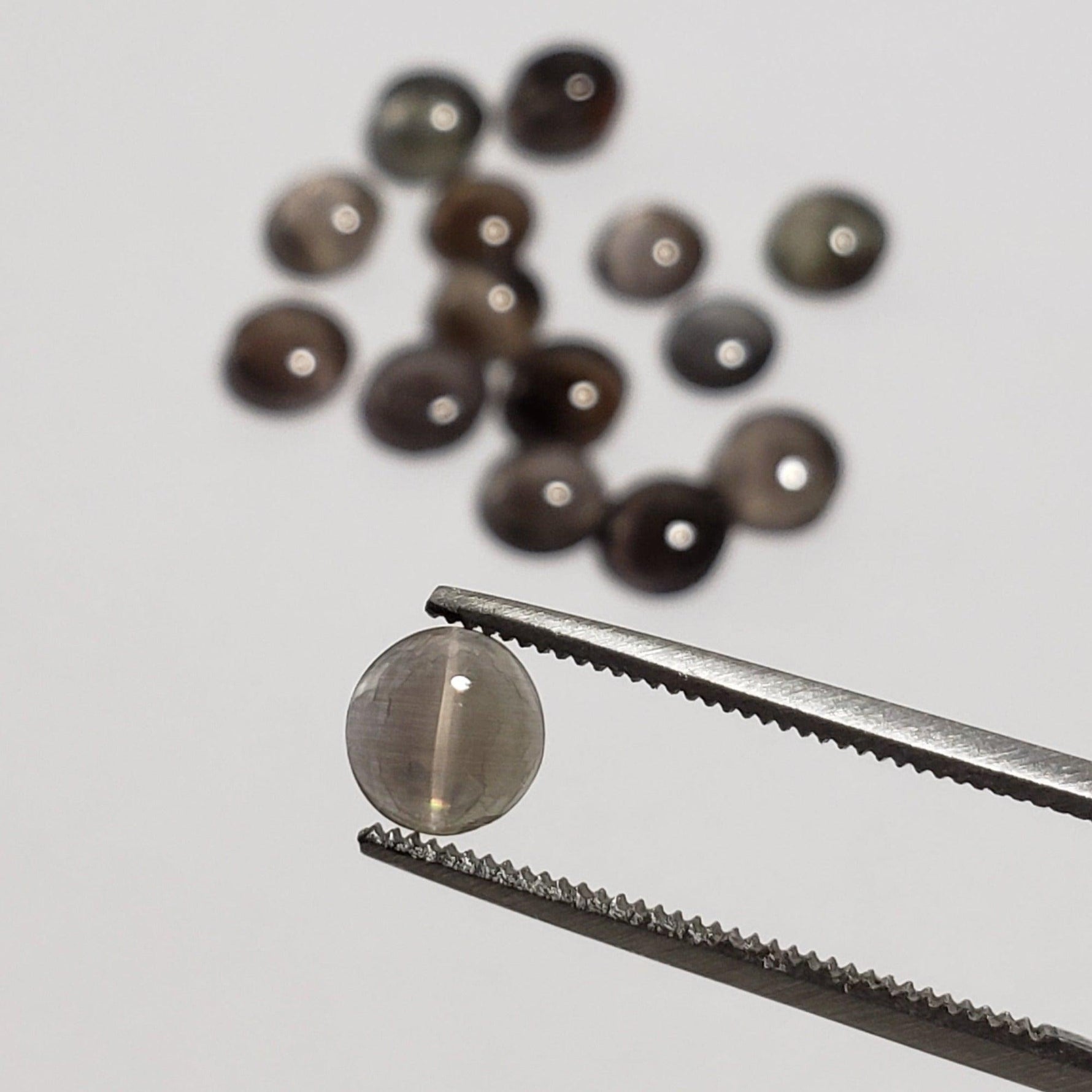 D - Sillimanite Cats Eye | Round Cabochon | Titanium | 6mm - Canagem.com