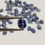  Sodalite | Oval Cabochon | Navy Blue | 8x6mm | Canada 2