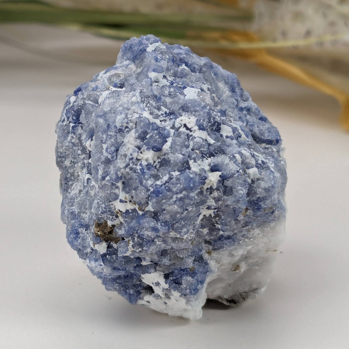  Sodalite | Rough Sodalite | 70.9 grams | Mont Saint Hilaire, Quebec, Canada | SO24 2