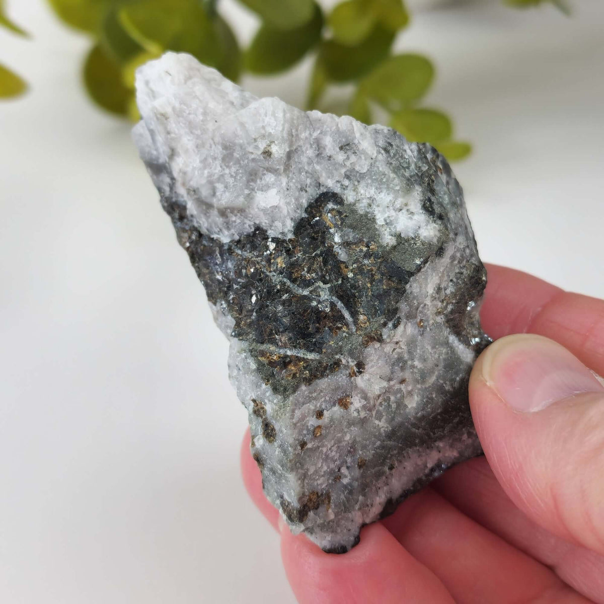  Sphalerite Crystal Cluster | 112.7 grams | Mina la Bufa, Zacatecas, Mexico | SO24 5