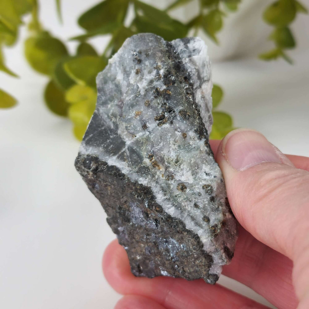  Sphalerite Crystal Cluster | 112.7 grams | Mina la Bufa, Zacatecas, Mexico | SO24 6