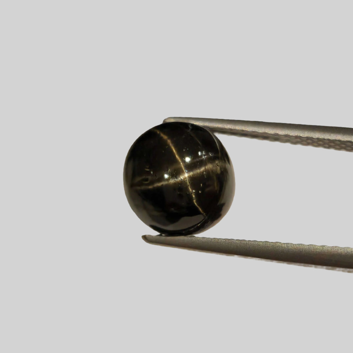  Star Diopside | Round Cabochon | Black | 9mm | SO24 