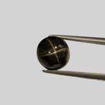  Star Diopside | Round Cabochon | Black | 9mm | SO24 