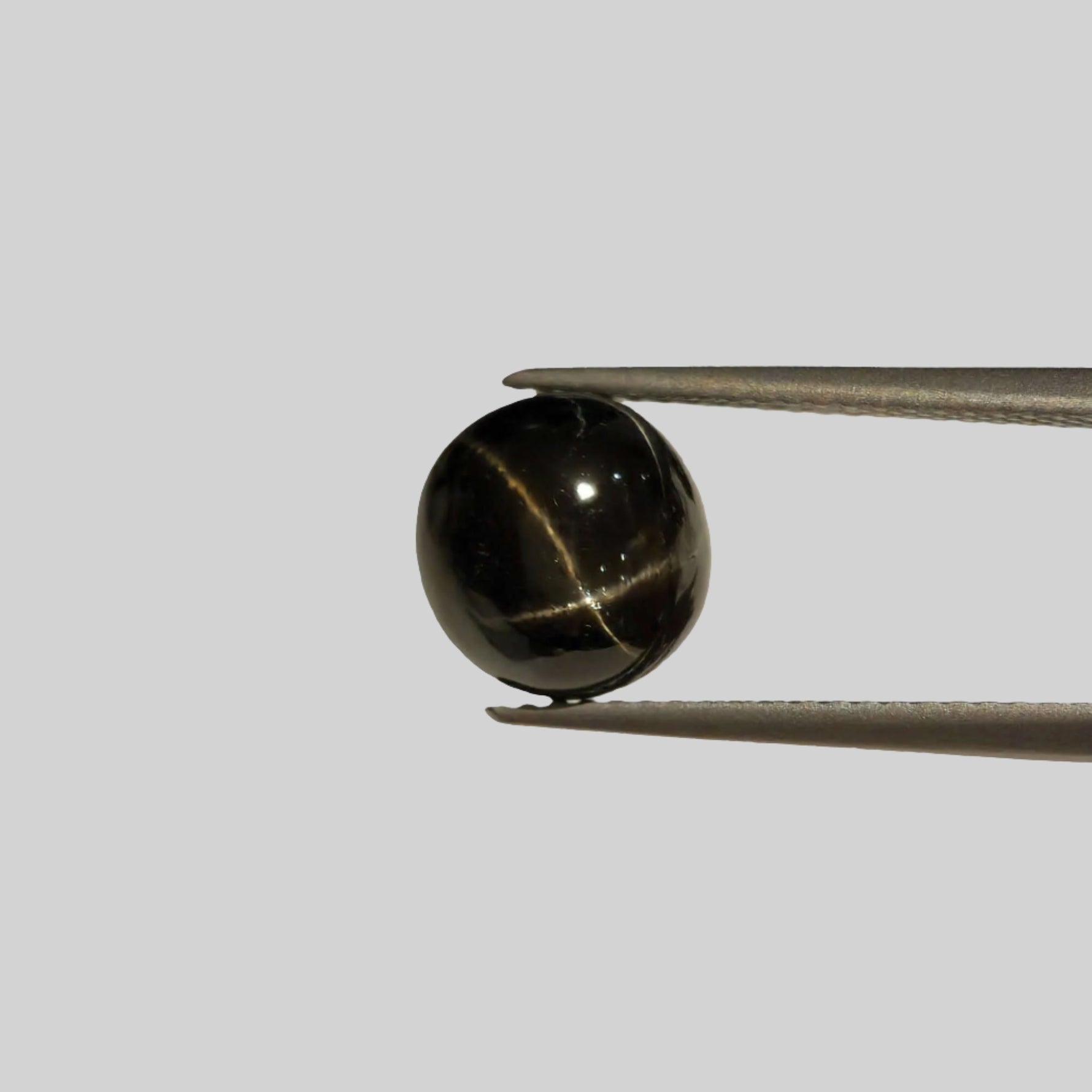  Star Diopside | Round Cabochon | Black | 9mm | SO24 1