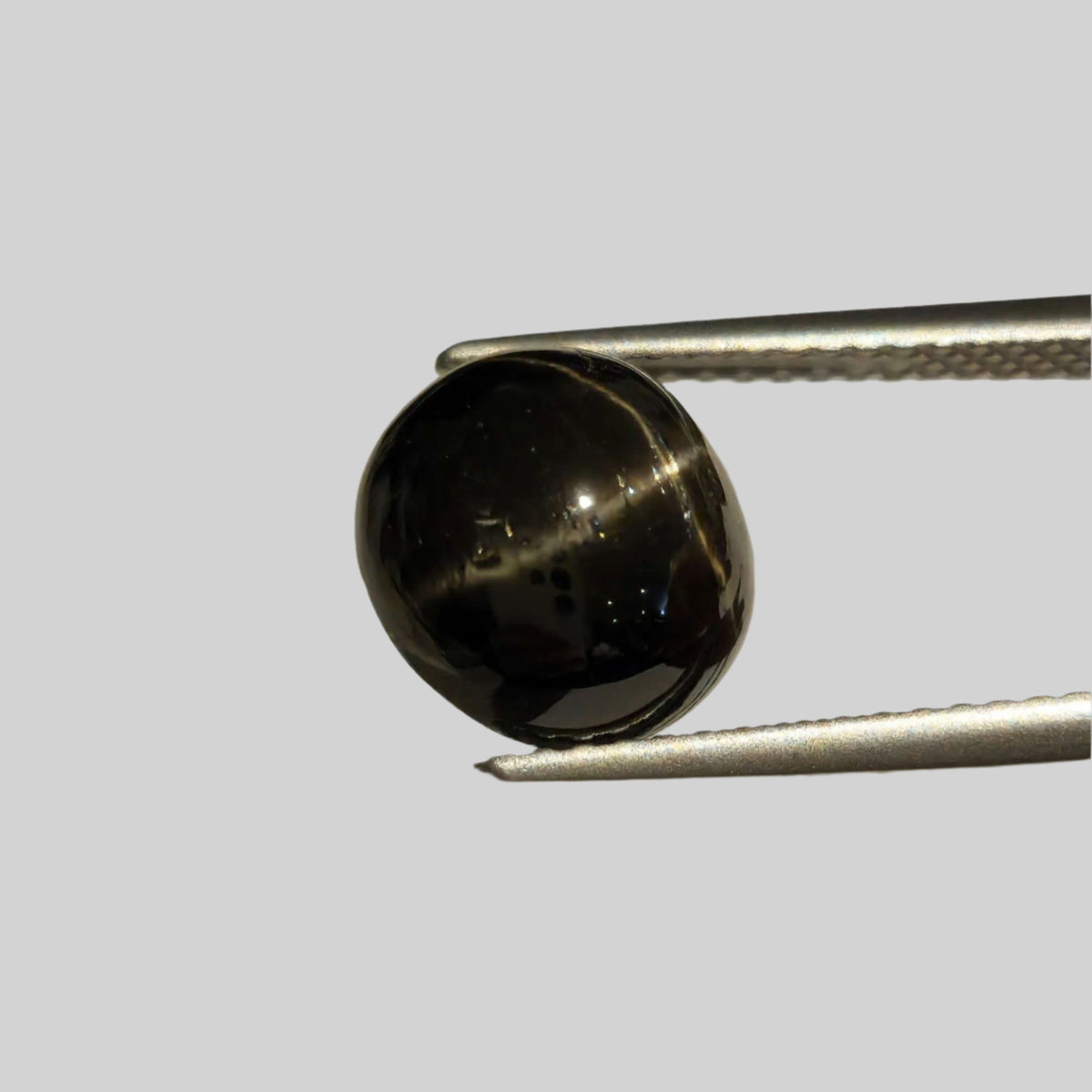  Star Diopside | Round Cabochon | Black | 9mm | SO24 2