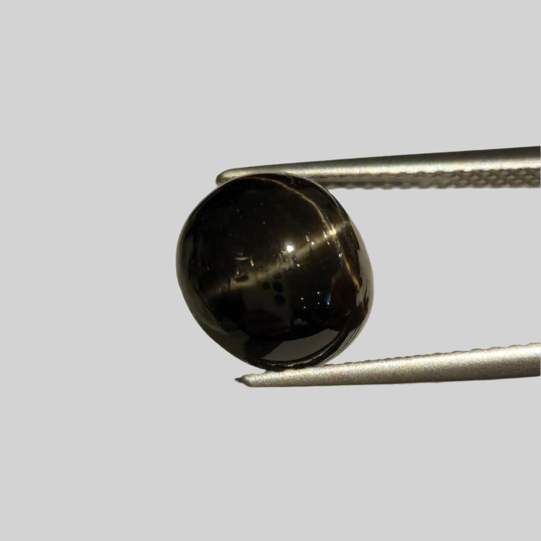  Star Diopside | Round Cabochon | Black | 9mm | SO24 2