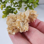  Star Mica Metamorphic Rock with Quartz | 28.2g | Muscovite | Brazil | SO24 2