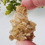  Star Mica Metamorphic Rock with Quartz | 28.2g | Muscovite | Brazil | SO24 4