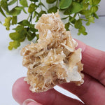  Star Mica Metamorphic Rock with Quartz | 28.2g | Muscovite | Brazil | SO24 5