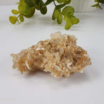  Star Mica Metamorphic Rock with Quartz | 28.2g | Muscovite | Brazil | SO24 7