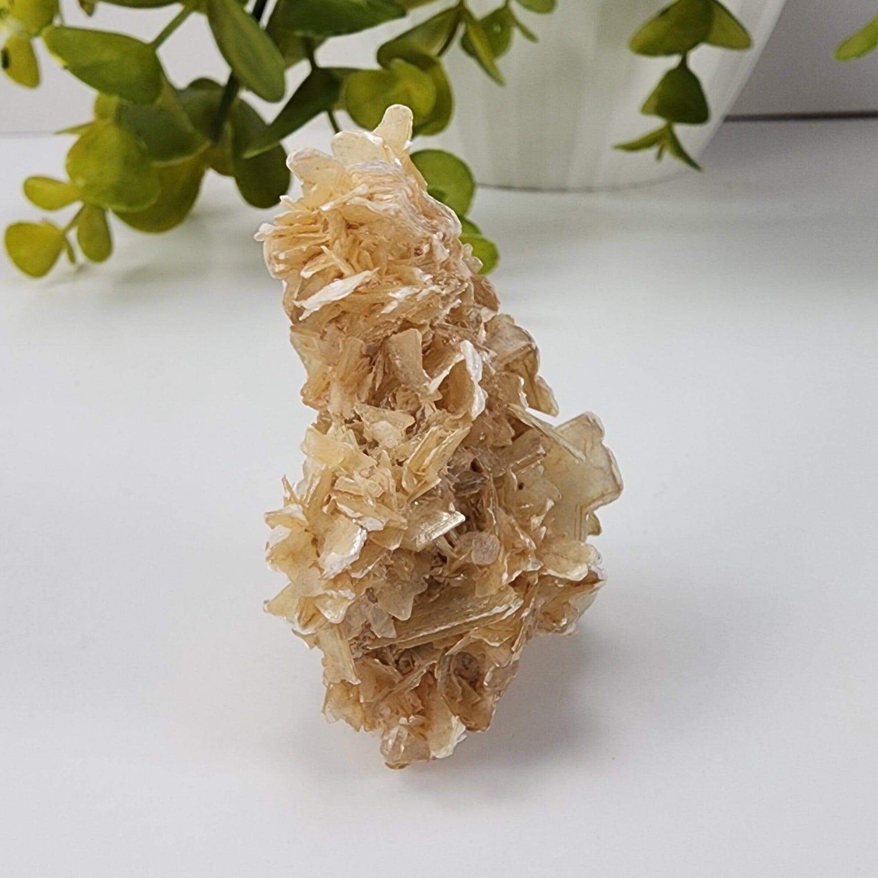  Star Mica Metamorphic Rock with Quartz | 28.2g | Muscovite | Brazil | SO24 9