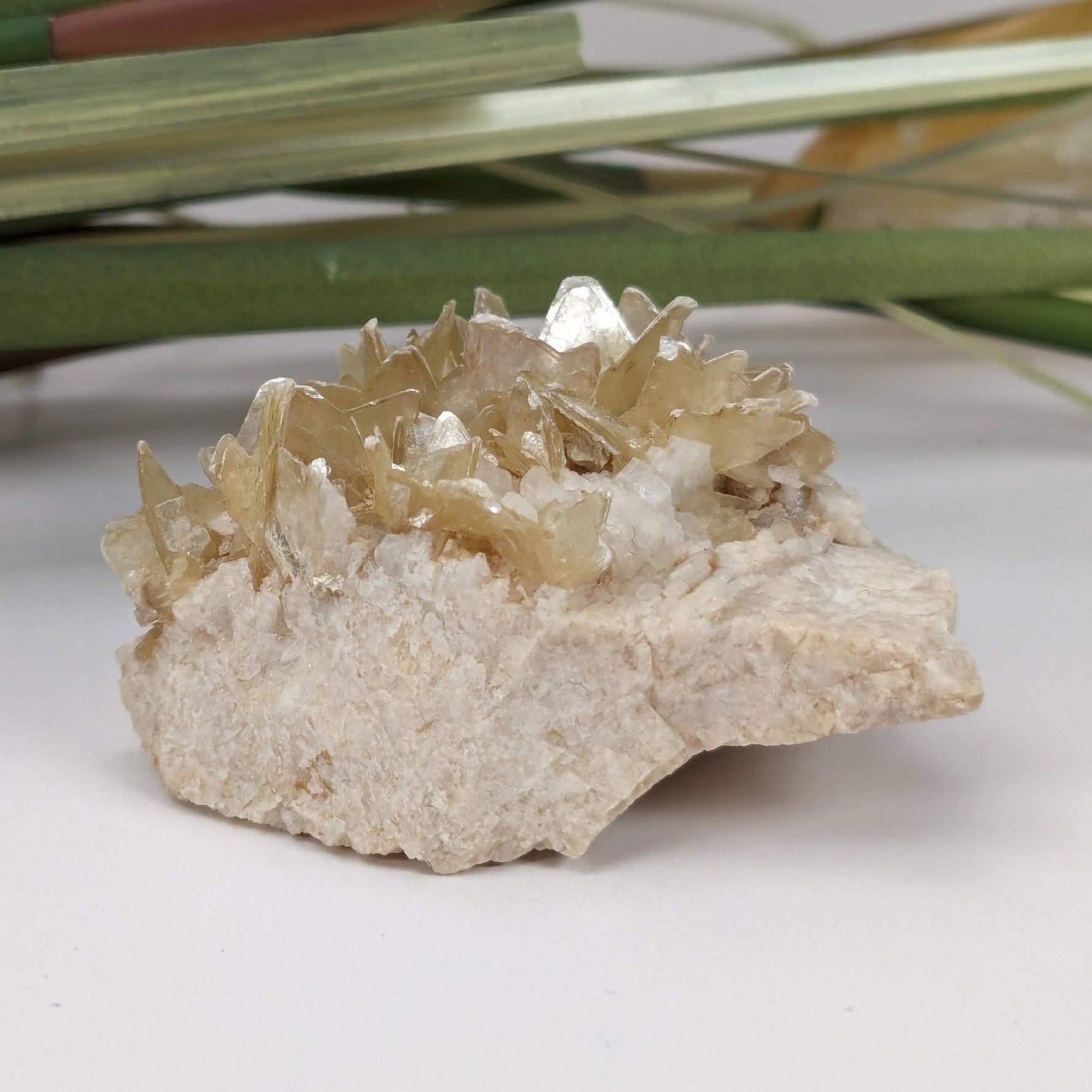  Star Mica Metamorphic Rock with Quartz | 43.2g | Muscovite | Brazil | SO24 1