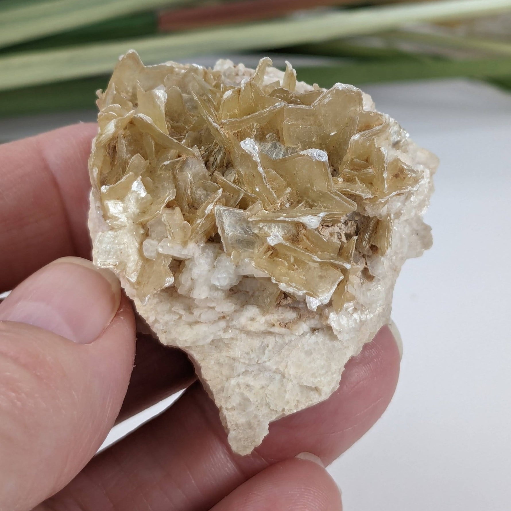  Star Mica Metamorphic Rock with Quartz | 43.2g | Muscovite | Brazil | SO24 3