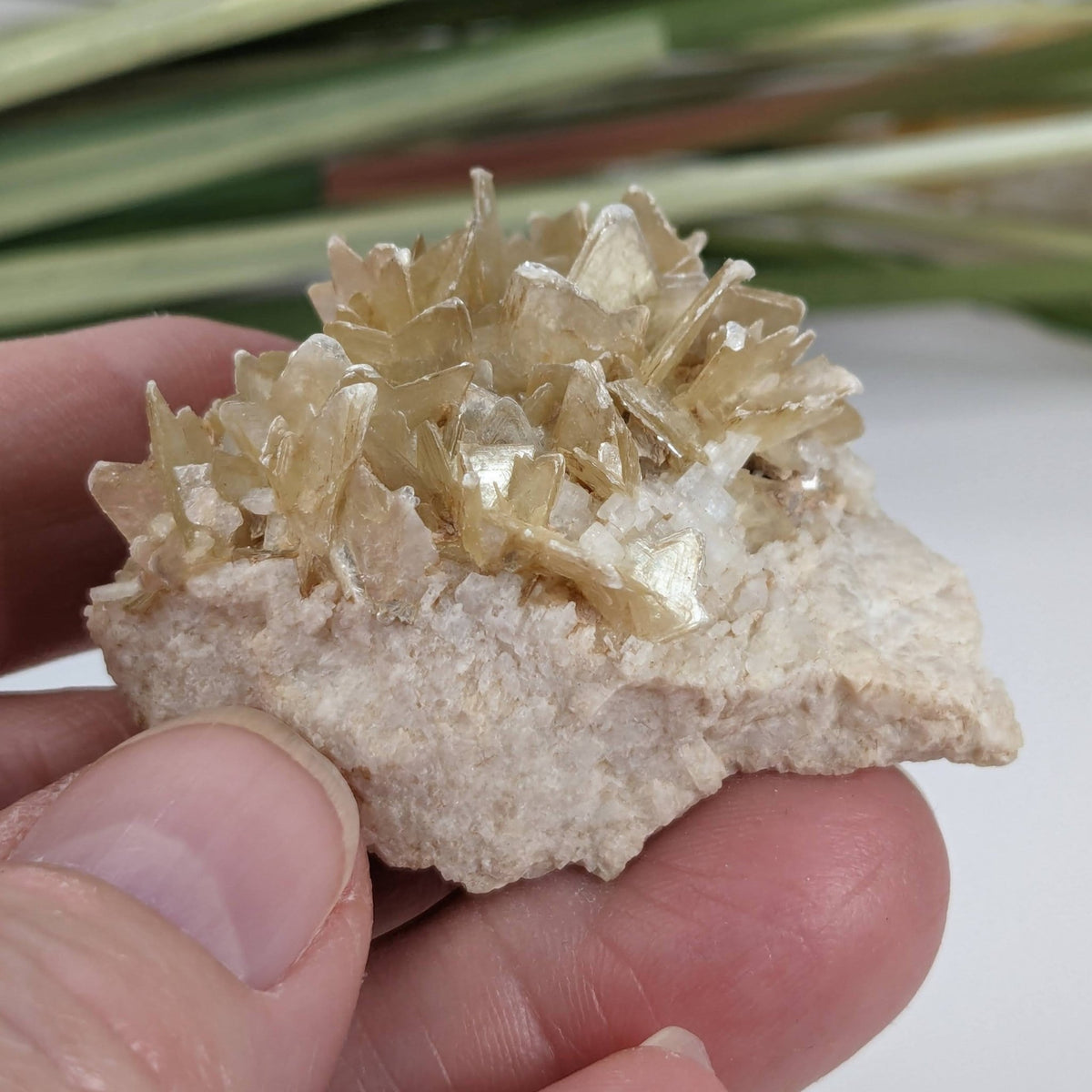  Star Mica Metamorphic Rock with Quartz | 43.2g | Muscovite | Brazil | SO24 4