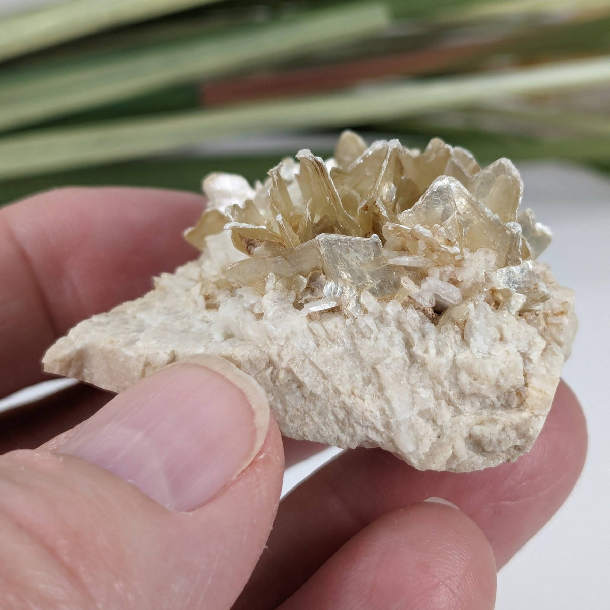  Star Mica Metamorphic Rock with Quartz | 43.2g | Muscovite | Brazil | SO24 6