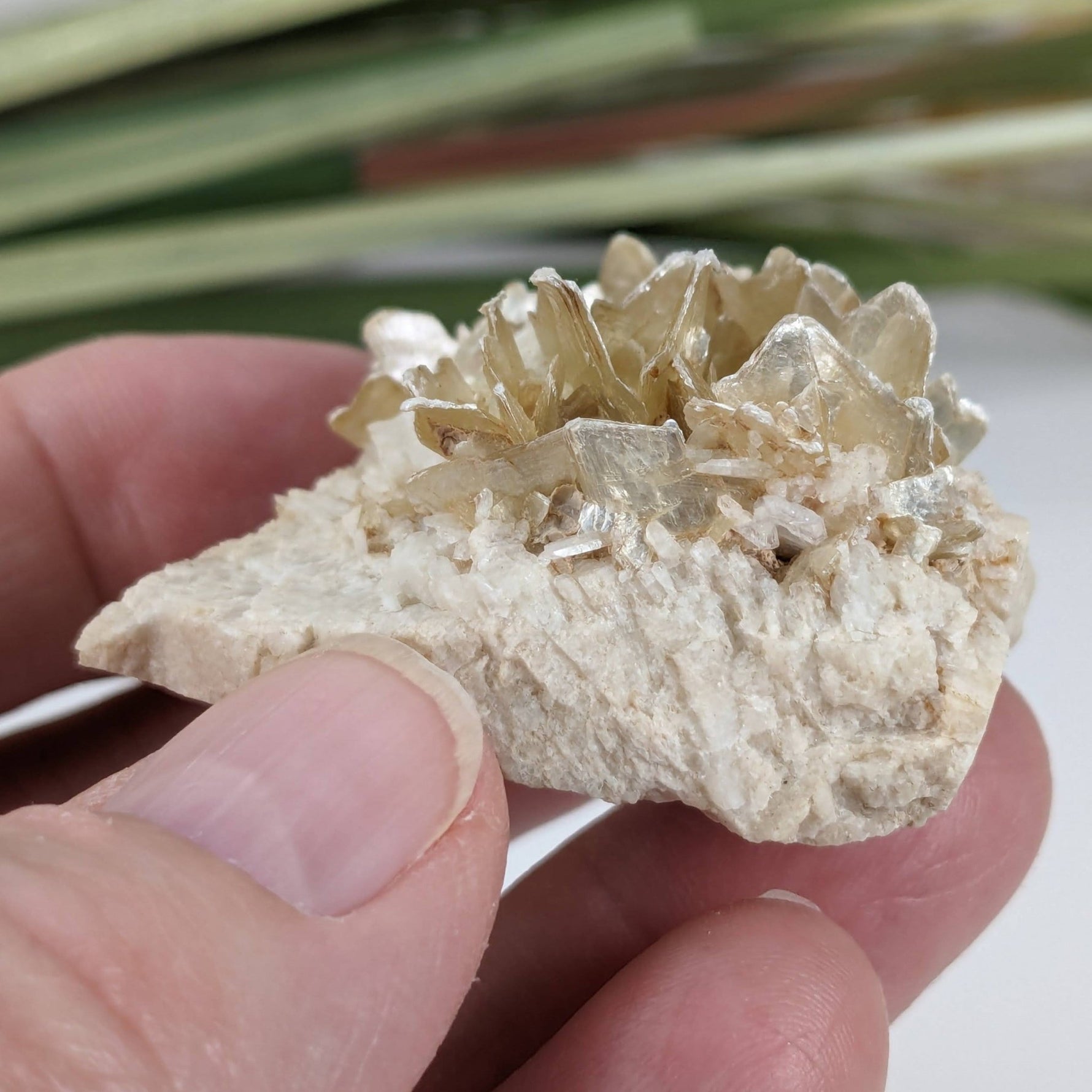  Star Mica Metamorphic Rock with Quartz | 43.2g | Muscovite | Brazil | SO24 6