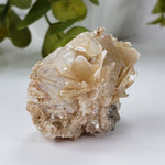  Star Mica Metamorphic Rock with Quartz | 44.7g | Muscovite | Brazil | SO24 4