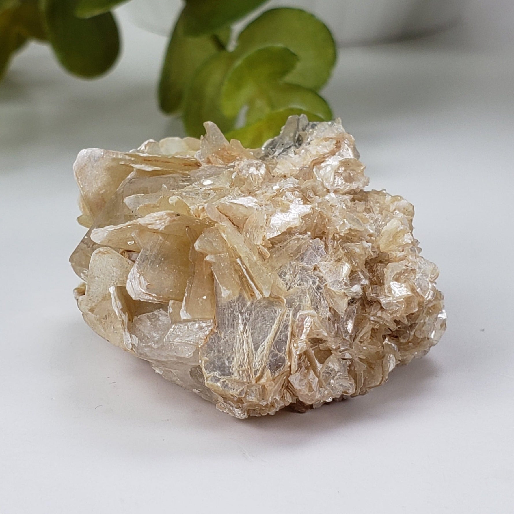  Star Mica Metamorphic Rock with Quartz | 44.7g | Muscovite | Brazil | SO24 5