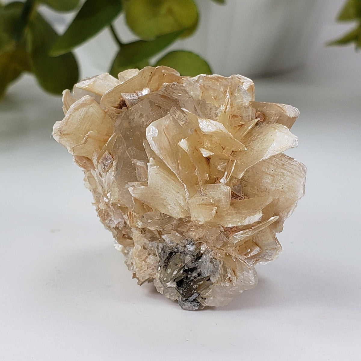  Star Mica Metamorphic Rock with Quartz | 44.7g | Muscovite | Brazil | SO24 7