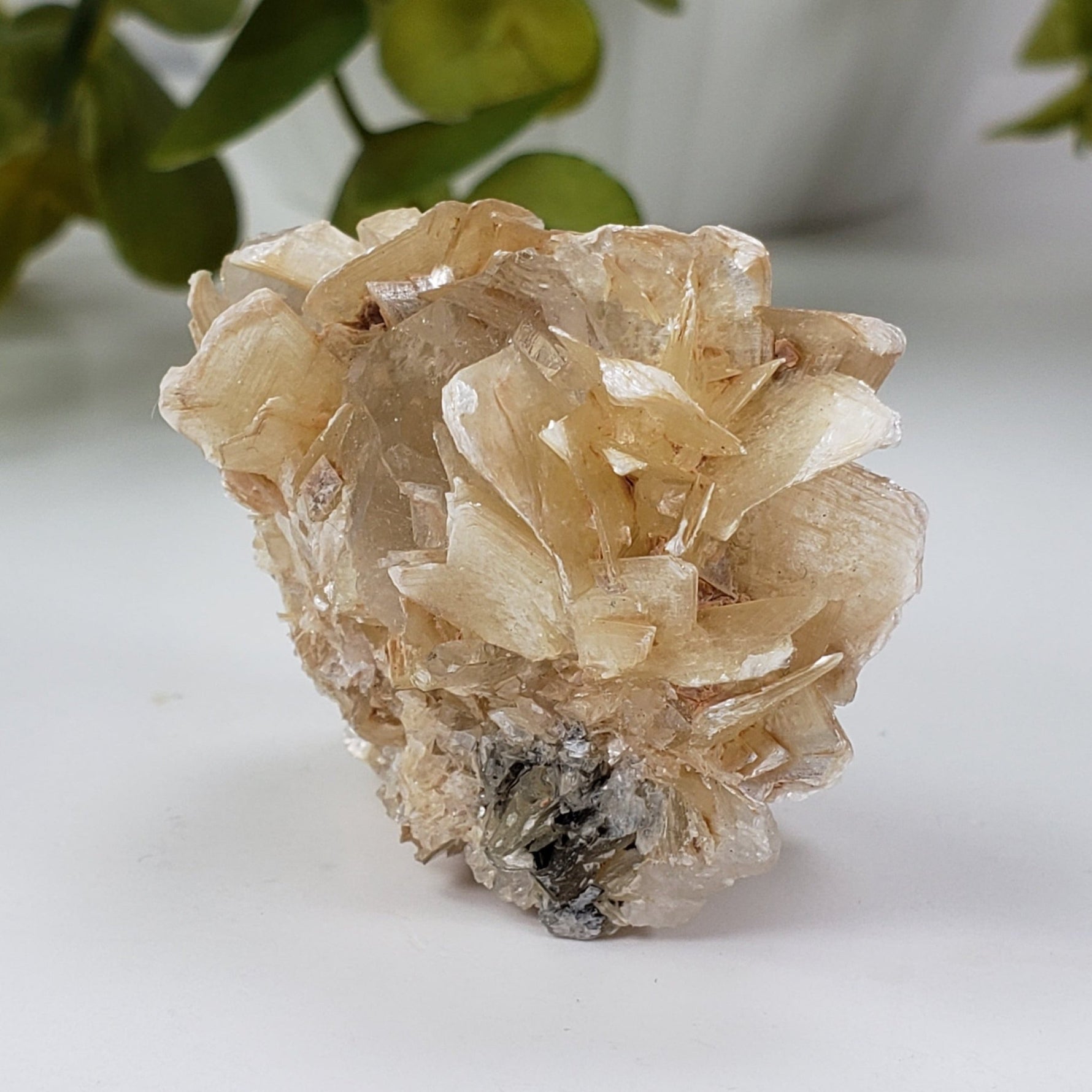  Star Mica Metamorphic Rock with Quartz | 44.7g | Muscovite | Brazil | SO24 7