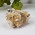  Star Mica Metamorphic Rock with Quartz | 44.7g | Muscovite | Brazil | SO24 8