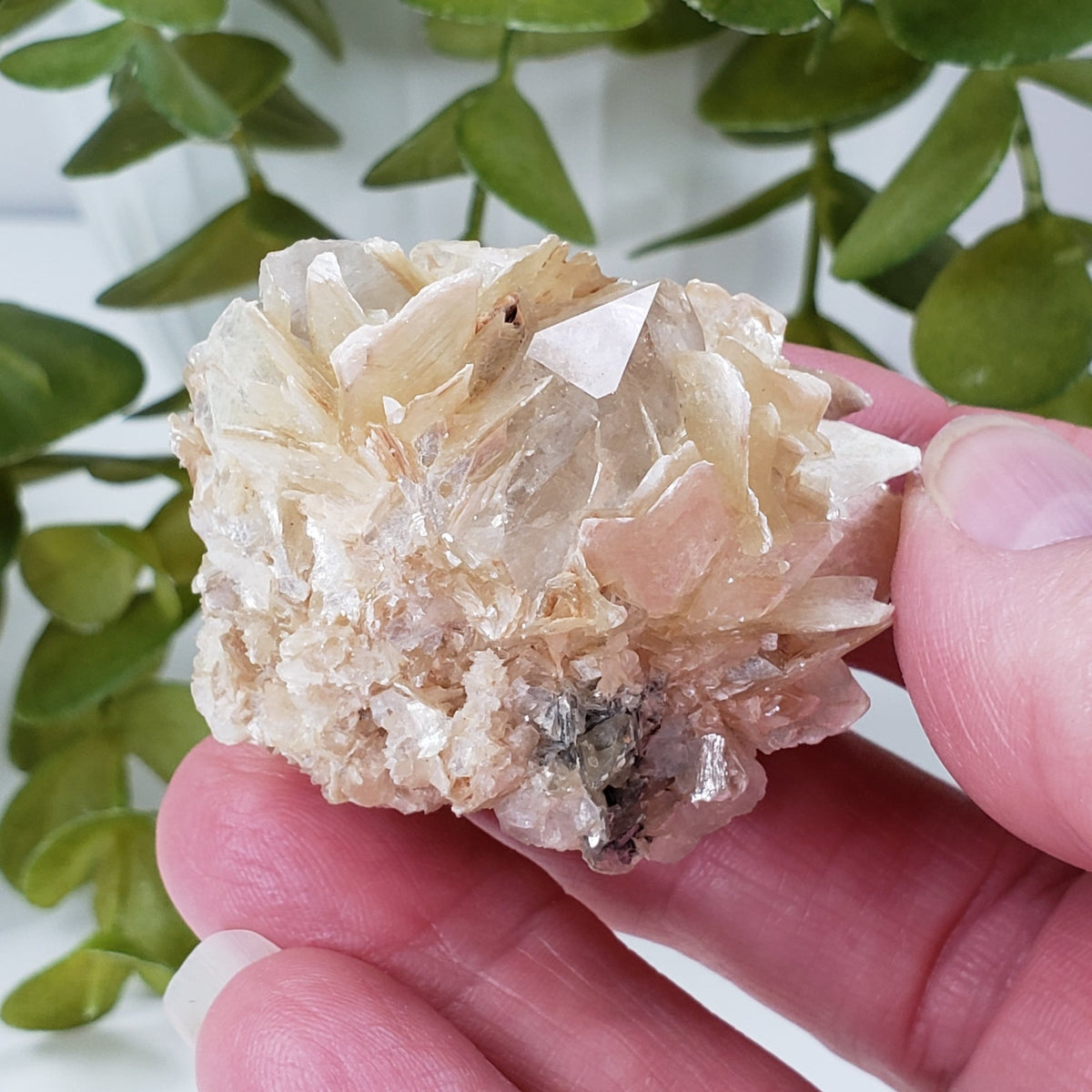  Star Mica Metamorphic Rock with Quartz | 44.7g | Muscovite | Brazil | SO24 9