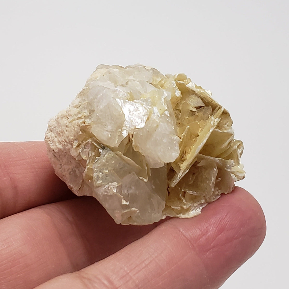  Star Mica Metamorphic Rock with Quartz | 51.4g | Muscovite | Brazil 4
