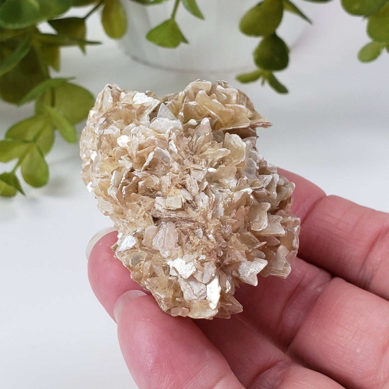  Star Mica Metamorphic Rock with Quartz | 71.3g | Muscovite | Brazil | SO24 1